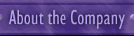 About the Company -